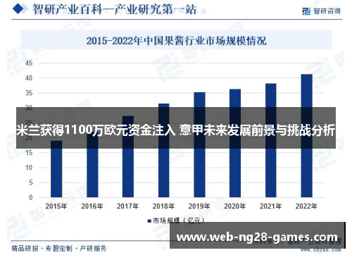 米兰获得1100万欧元资金注入 意甲未来发展前景与挑战分析